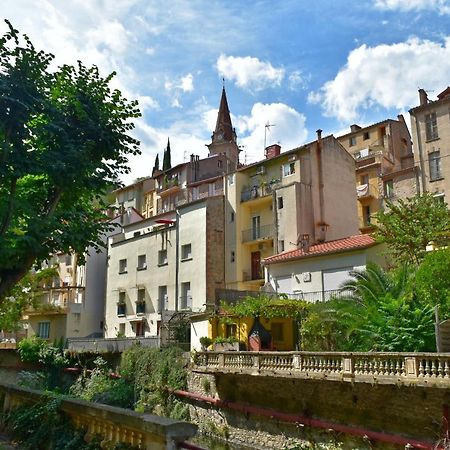 T2 Tout Confort Amélie-les-Bains-Palalda المظهر الخارجي الصورة