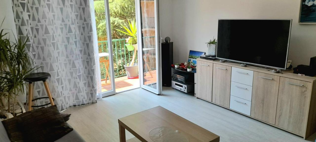 T2 Tout Confort Amélie-les-Bains-Palalda المظهر الخارجي الصورة