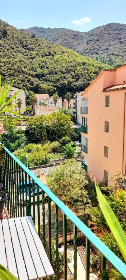 T2 Tout Confort Amélie-les-Bains-Palalda المظهر الخارجي الصورة