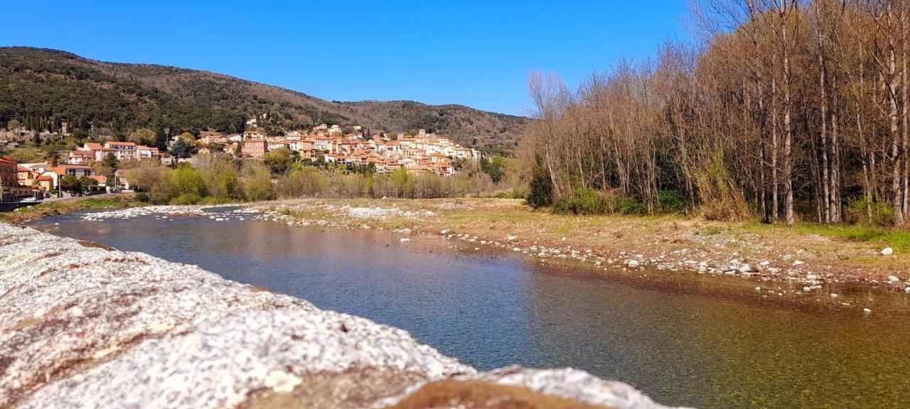 T2 Tout Confort Amélie-les-Bains-Palalda المظهر الخارجي الصورة
