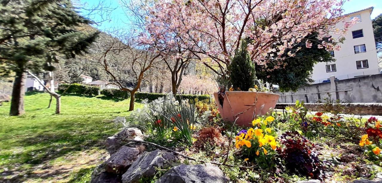 T2 Tout Confort Amélie-les-Bains-Palalda المظهر الخارجي الصورة