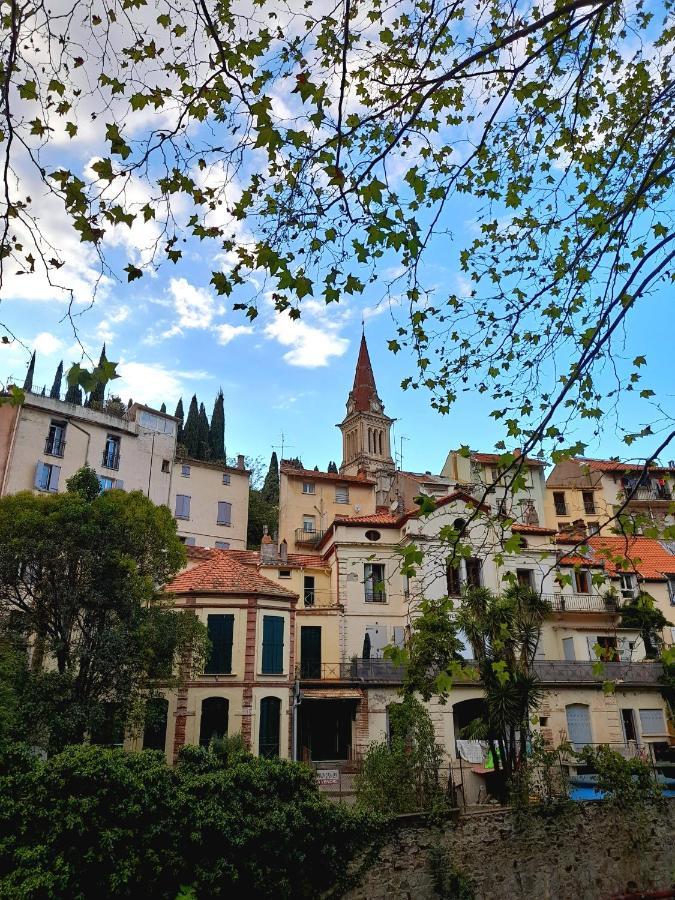 T2 Tout Confort Amélie-les-Bains-Palalda المظهر الخارجي الصورة