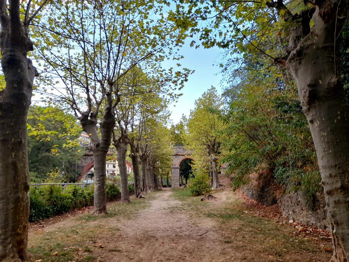 T2 Tout Confort Amélie-les-Bains-Palalda المظهر الخارجي الصورة