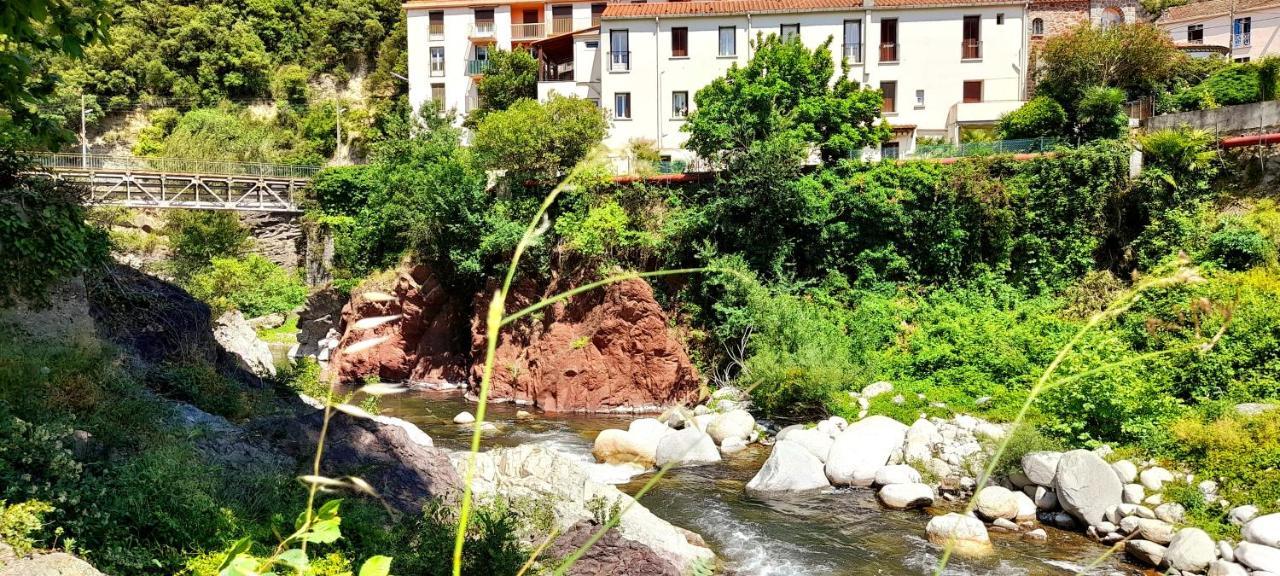 T2 Tout Confort Amélie-les-Bains-Palalda المظهر الخارجي الصورة